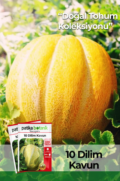 Patika Botanik 10 Dilim Çorum Kavun Tohumu
