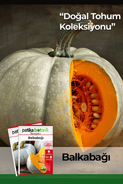 Patika Botanik 12 Adet Ata Tohumu Yerli Bal Kabağı (TURUNCU ETLİ)