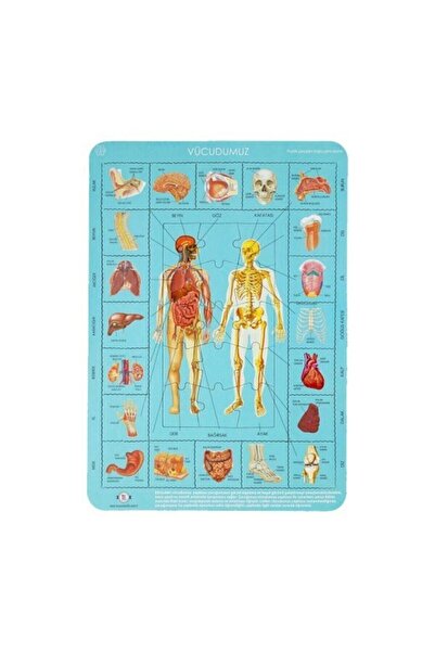 Tes Yayıncılık Vücudumuz Puzzle