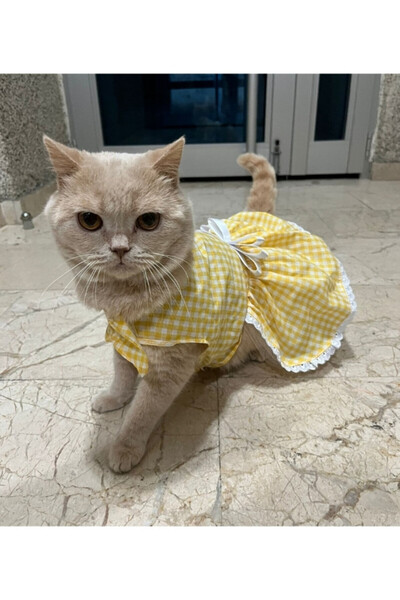 Gobo Sarı Beyaz Kareli Fiyonklu Kedi Köpek Kıyafeti Elbisesi Medium/M/Beden 2