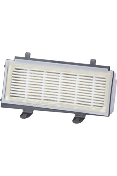 süpürgeevim Φίλτρο Hepa Bgs 5perf5 - Συμβατό