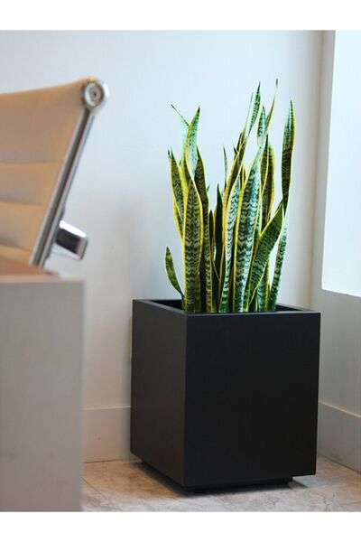 janiyeva Kare Tipi Metal Saksı Çiçeklik