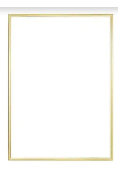 Gold Renk Metal Resim Çerçevesi 33x48