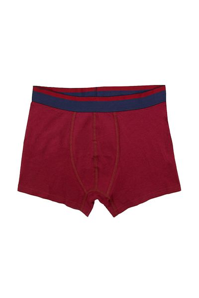 wild dog Set of 2 Men's Cotton Boxers