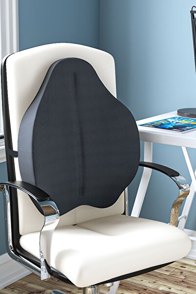 Arnee Visco Bel Yastığı Sırt Minderi Ortopedik Visko Yastık Bel Sırt destek m...