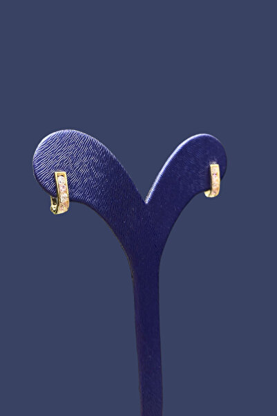 Altınaşkı Renkli Taşlı Altın Çocuk Küpe