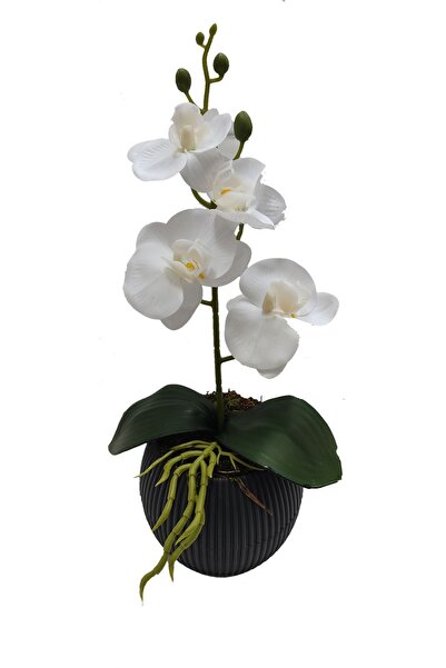 Cennet Home Islak beyaz mini orkide hediyelik yapay çiçek