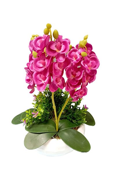 Cennet Home Orchid Aranmanı Tiny Six Orchid Gift Artificial Flower White Luxury Arrangement in a Pot