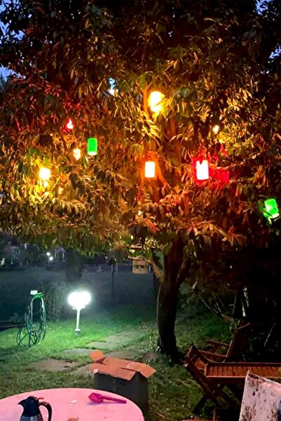 PAMİRAVM Ağaç Feneri ,Su Geçirmez Ağaç Feneri  Dekoratif Ağaç Feneri  (6ADET)