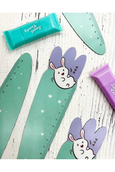 Kağıt Gemi Dükkan Cute Rabbit Turquoise Ruler with Magnet