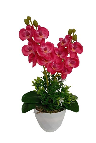 Cennet Home Mini ikili orkide canlı renkli yapay çiçek beyaz saksıda dekoratif masaüstü hediyelik çiçek