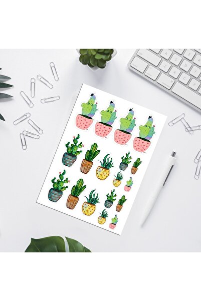 Fatofotofan مجموعة ملصقات صبار مكونة من 18 قطعة