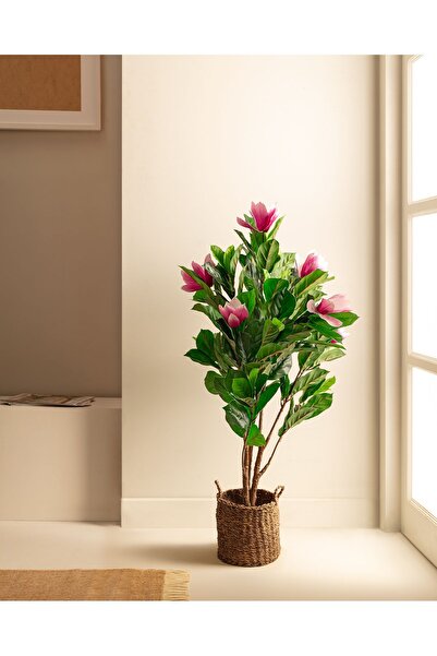 Madame Coco Emils Saksılı Çiçek