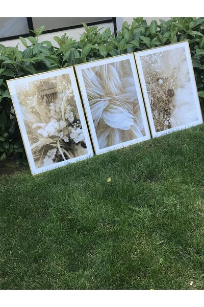 Linacci Üçlü Metal Gold Alüminyum Soft Renk Cam Salon Çerçeveli Poster Tablo Seti