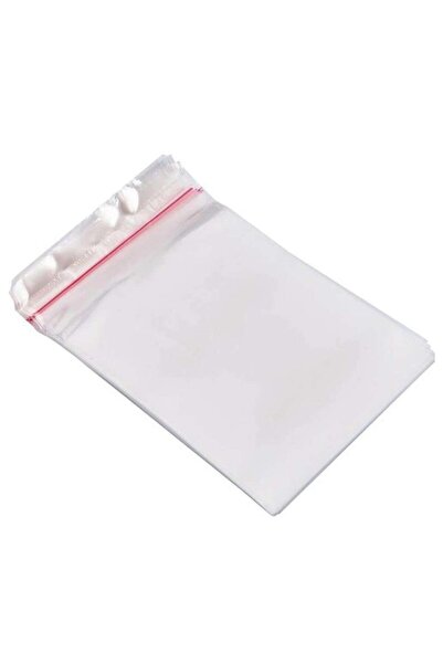 E CAN Transparent Magnet Gift Bag - 25 Pieces