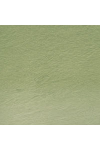 Derwent Tinted Charcoal Pencil Green Moss (Tc15)