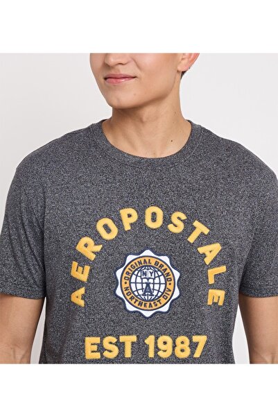 Aeropostale Men's Gray Text Printed Crew Neck Short Sleeve T-Shirt