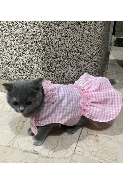 Gobo Pink and White Checked Ribbon Cat Dog Dress