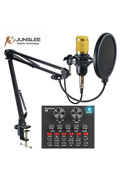 JUNGLEE Condenser Microphone Masaüstü Profesyonel Mikrofon Bm-700