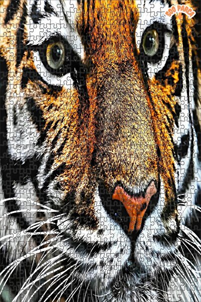 Teona Ahşap Büyük kedi Dekoratif Çift Katlı Çerçeveli Asılabilir Ahşap Puzzle...