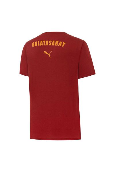 Puma Galatasaray S.K.Logo T-Shirt