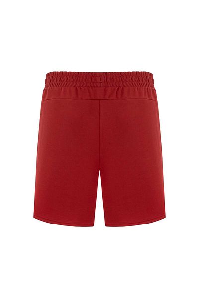 Puma Galatasaray S.K.Shorts - Sport and Stylish Design