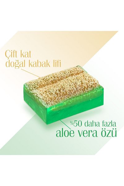 Agarta Natural Pumpkin Fiber Handmade Aloe Vera Soap with Purifying Effect 125 gr