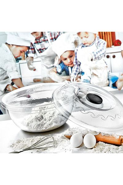 Polytime Poly Time No. 4 Dough Basin with Lid (transparent) (26 Lt)