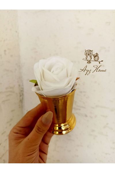 AYZ HOME Velvet Rose Bucket - 1 Piece, Coffee Presented Wishing Promise Engagement