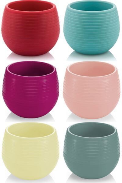 SERİNOVA Elvan Kaktüs 6 Lı Saksı 1 0,13 Lt