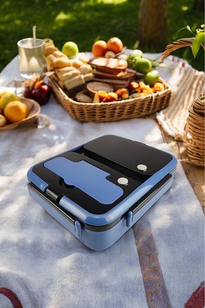 Digithome Food Carrying and Storage Container with Compartments Steel Chamber 25 Cm Blue for Work Office School - Yk1392