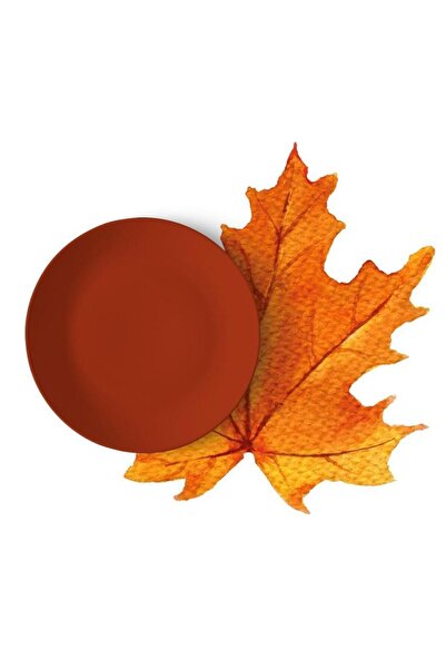 Maxxdeco Modern Sofralar Için Kullanışlı,göz Alıcı Özel Kesim Supla- Amerikan...