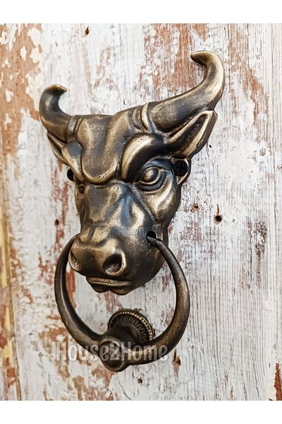 HOUSE2HOME Antique Yellow Brass Bull Door Knob - Handmade, Small Size