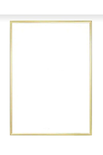 POLAT CAM Gold Metal Resim Cercevesi 18x24