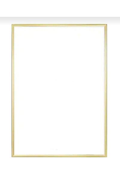 POLAT CAM 35x50 Gold Renk Metal Resim Çerçevesi 35x50cm