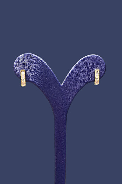 Altınaşkı Renkli Taşlı Altın Çocuk Küpe