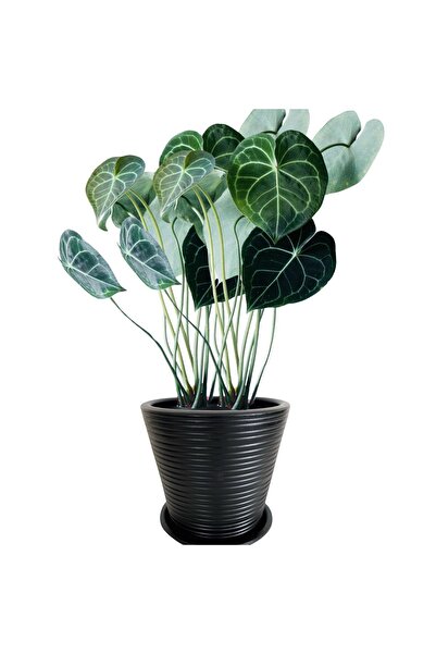 plot plant lovers of turkey 24x21 cm Siyah Toprak Saksı, Çizgili, Dubai Seris...