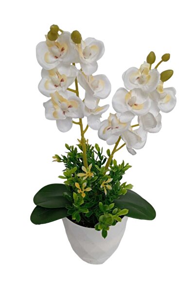 Cennet Home Mini ikili orkide canlı renkli yapay çiçek beyaz saksıda dekoratif masaüstü hediyelik çiçek
