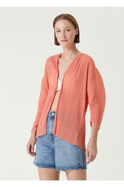 Sorbe Pleated Salmon Blouse