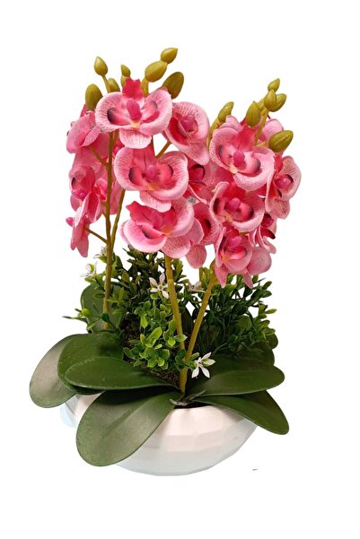 Cennet Home Orchid Aranmanı Tiny Six Orchid Gift Artificial Flower White Luxury Arrangement in a Pot