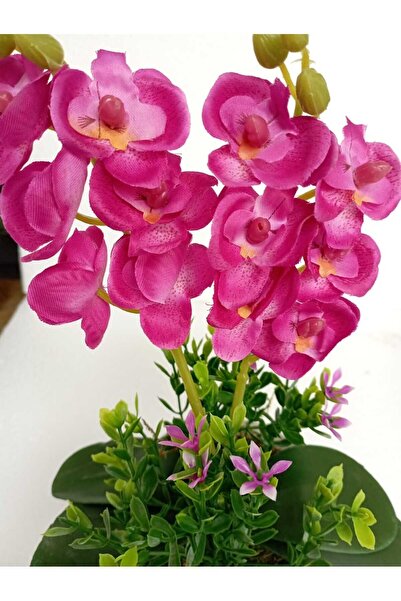 Cennet Home Mini ikili orkide canlı renkli yapay çiçek beyaz saksıda dekoratif masaüstü hediyelik çiçek