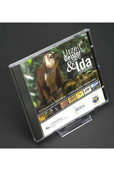 EVİMOL Display Stand Presentation Stand Photo Frame Table Legs