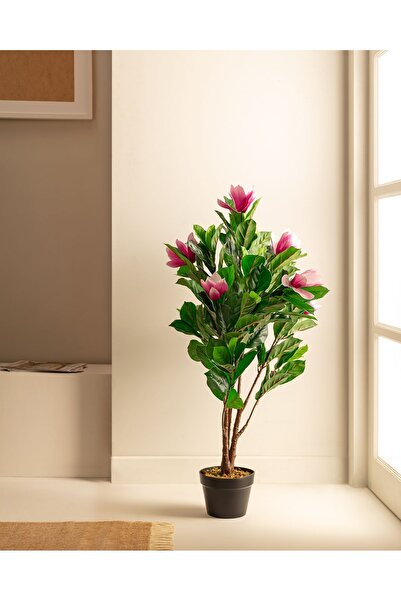 Madame Coco Emils Saksılı Çiçek