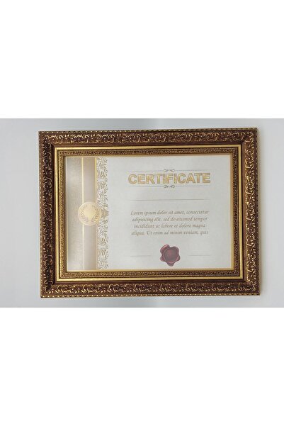 Çamlıca Sanatsal Çerçeveleri A3 Varaklı Diploma Çerçevesi 30x42