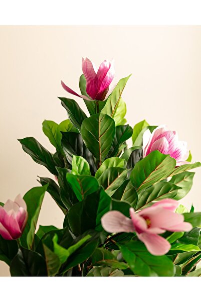 Madame Coco Emils Saksılı Çiçek