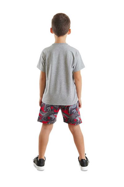 Denokids Triceratruck Boy's T-Shirt Shorts Set