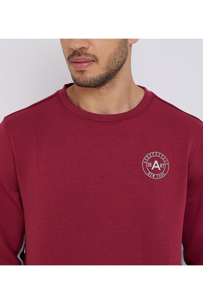 Aeropostale Men's Red Color Block Round Neck Sweatshirt