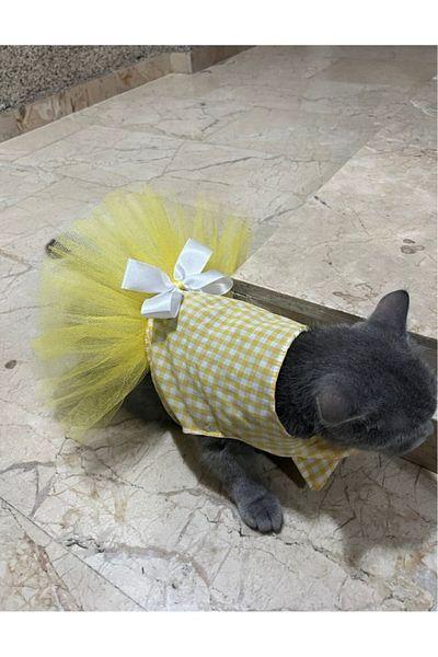 Gobo Apparel Dress - Yellow, White, Checkered Tulle and Bow Cat Dog