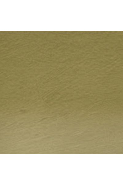 Derwent Tinted Charcoal Pencil Dark Moss (Tc16)