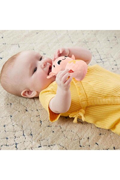 FISHER PRICE Duyuları Harekete Geçiren Oyun Seti HRB17